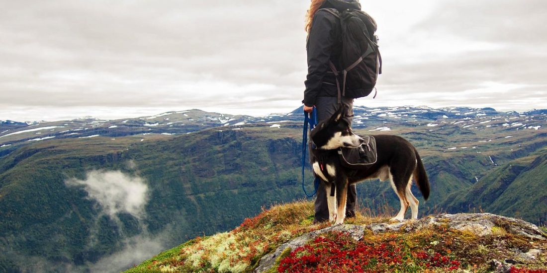 Planinarenje žene s psom.